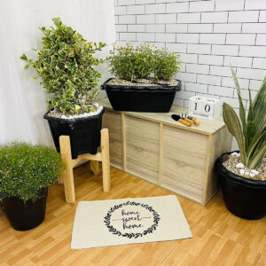 กระถางพลาสติก