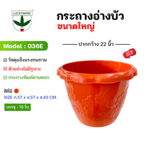 036E กระถางต้นไม้ อ่างบัว ก้นทึบไม่เจาะรู(ราคาต่อชิ้น)