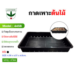 445B กระจาด/ถาดเพาะต้นอ่อน (ราคายกโหล)